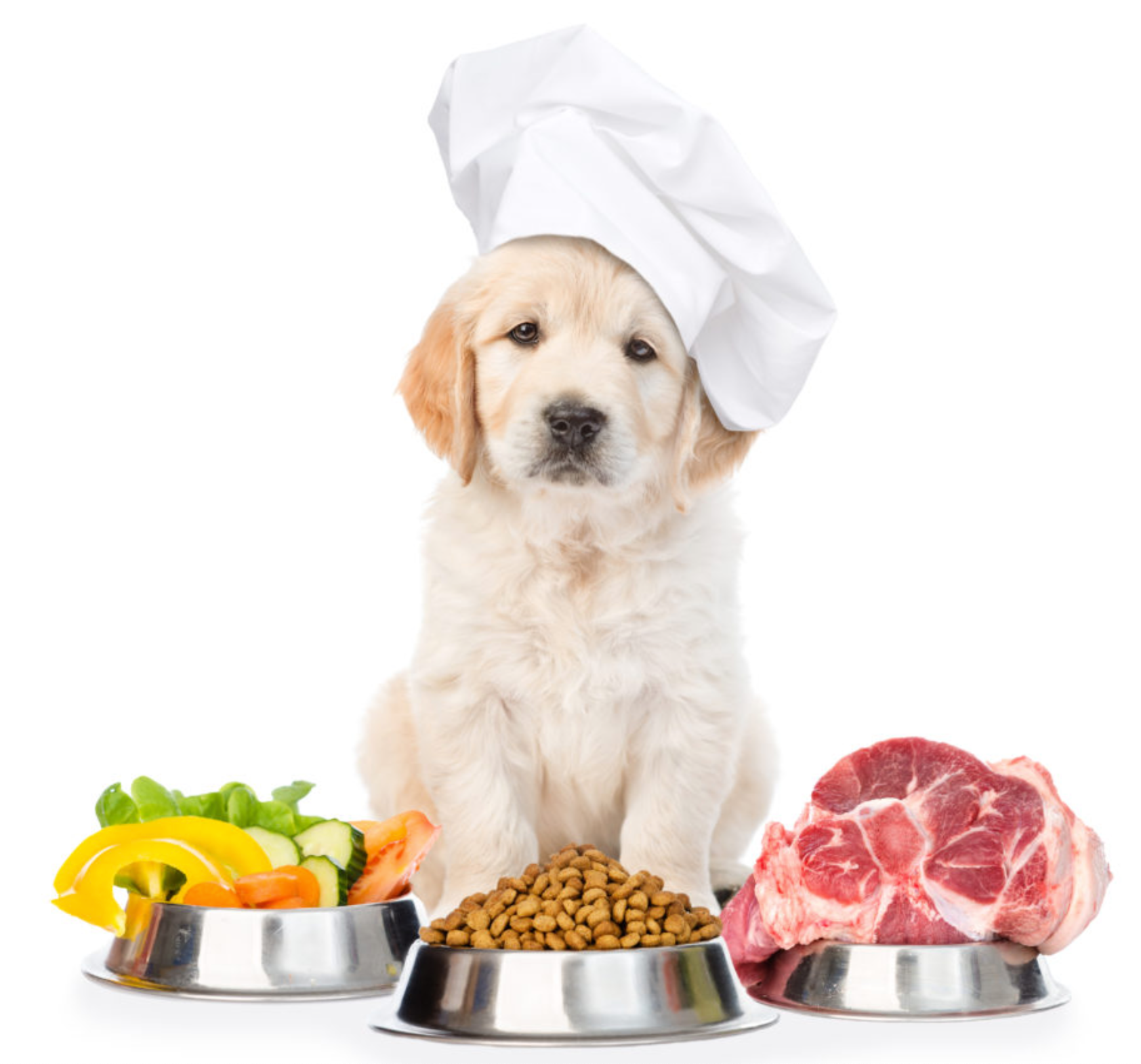 Natural and Healthy Pet Food Supplies Simply Natural Pet Shop